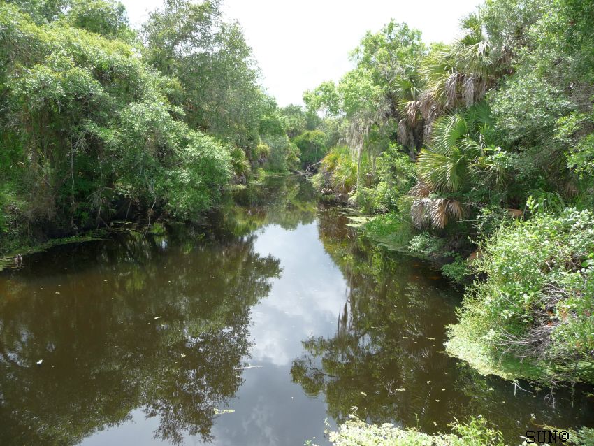 Rundreise USA Florida Everglades